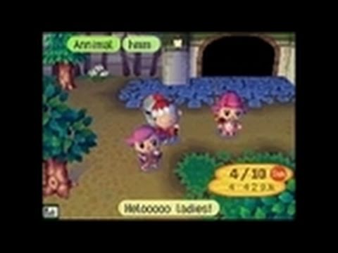 animal crossing wild world nintendo ds game