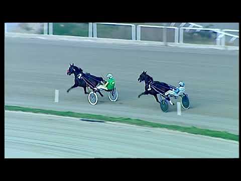 Trotto 18/12/2020 - 2ª prova di qualifica