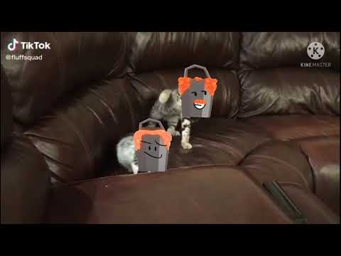 tdos shorts: magma bucket cut g lava bucket