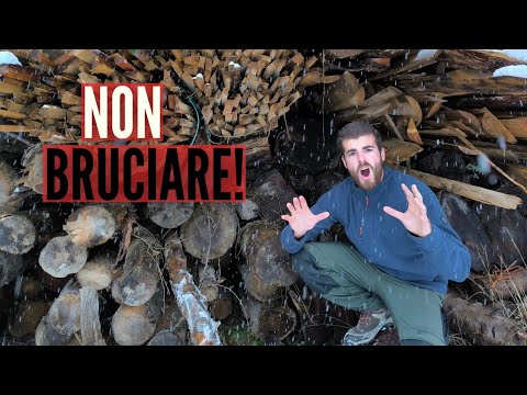 BRUCIARE le POTATURE, 3 motivi per NON farlo e come SMALTIRLE in maniera alternativa