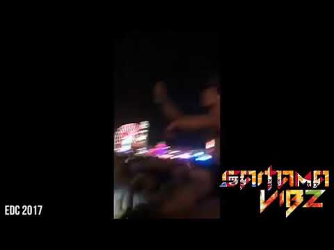 ZSMLE- Wawa-sound- 2019