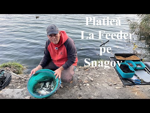 Pescuit pe Snagov la Feeder ! Platici mofturoase!