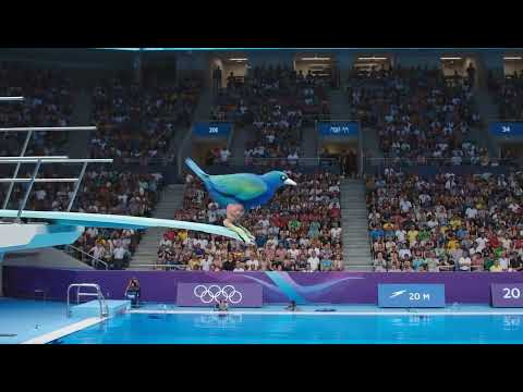 ???? Watch the Ultimate Olympic Bird Dive! ????