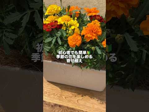 大型プランターを最大限に活かす選び方  庭園