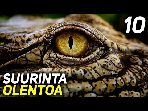 10 MAAILMAN SUURINTA OLENTOA