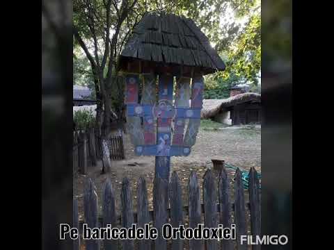 Trei sferturi în cer...  Madalina Amon