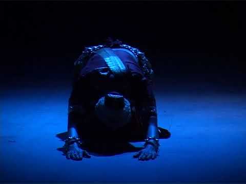 THE RAZA FOUNDATION - AVIRAAM 2012 (D)