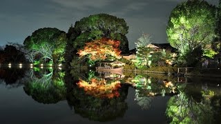 Alone in a Peaceful dream - Relaxing music playlist with Beautiful time-lapse videos [+1 Hour]