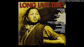 Echobelly - Dark Therapy (New Version)