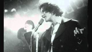 Plush - Greyhound Bus