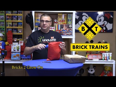 Haul # 82 Ebay, LEGO & Bricklink