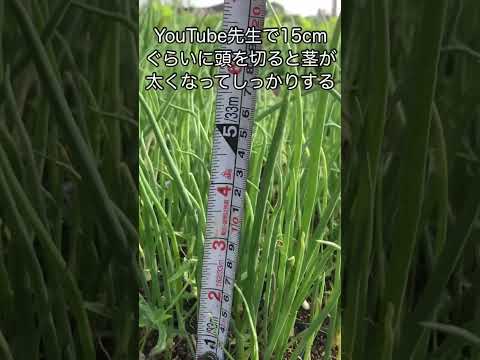 2024年は急がないでください