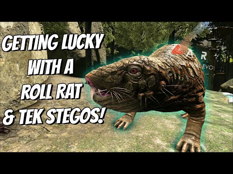 Trying To Tame Some TEK STEGOS And A MAX LEVEL ROLLRAT!! || Ark Story Unmodded Ep 90!