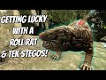 Trying To Tame Some TEK STEGOS And A MAX LEVEL ROLLRAT Ark Story Unmodded Ep 90