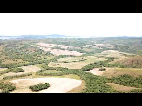 Fazenda Ventania - Butia - RS