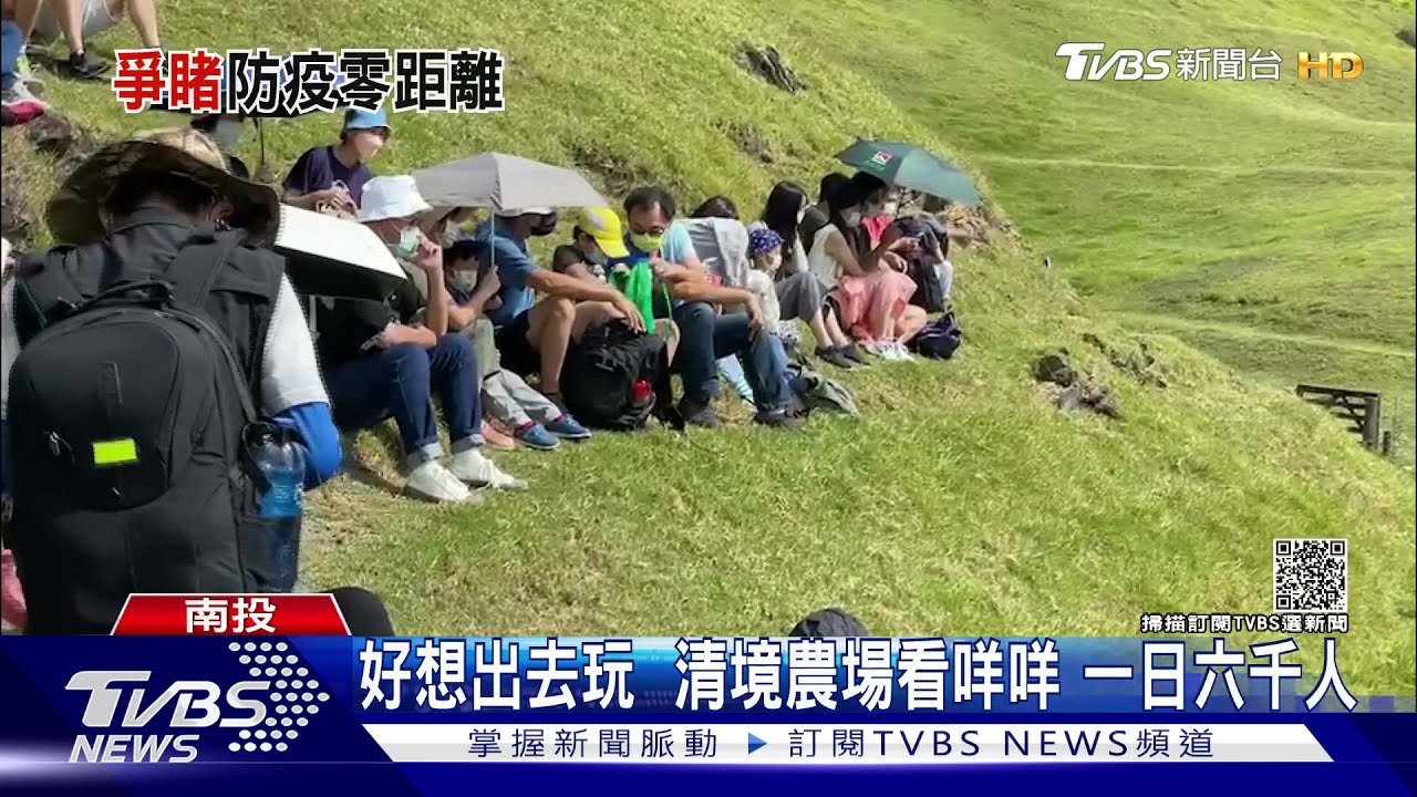 好想出去玩 清境農場看咩咩一日六千人