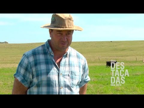 Jornada ¨Herramientas para potenciar la ganadería sobre campo natural¨ - Siboney