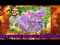 POWERFUL PURPLE PRESENCE Huge Bolivian Amethyst Geode Cluster 10 00 High Quality NS 655