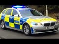 British police siren sound effect (wail and yelp)