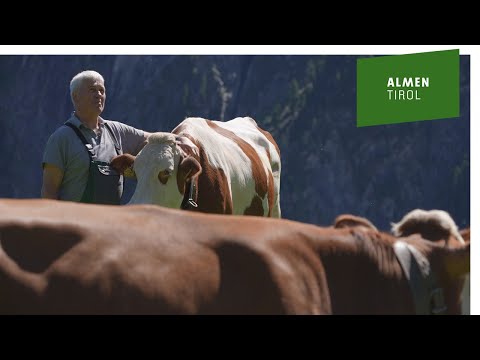 Stackerl Alm - Almleben, es gibt nichts schöneres!