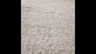 Carousel navigation image position 7 of 7