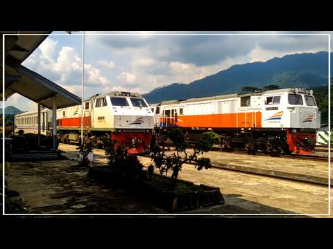KOMPILASI KERETA API NGEBUT MELINTAS DI STASIUN TERTINGGI DI INDONESIA DAOP 5 PURWOKERTO !