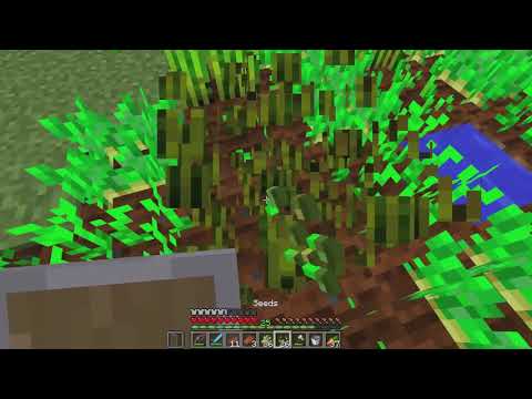 Minecraft Mindcrack - S6E84 - Waterfront Property