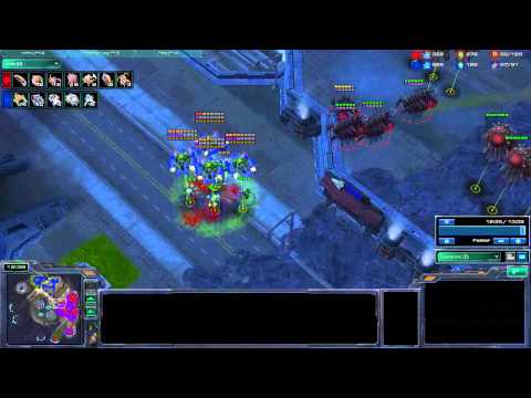 StarCraft 2 - Fungal Growth of the Day