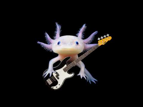 axolotl rave