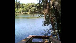 preview picture of video 'Suwannee River Park  -  Branford  -  FL  -  USA     (stills)'