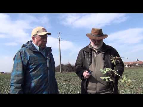 Moravský Žižkov - pan Valášek