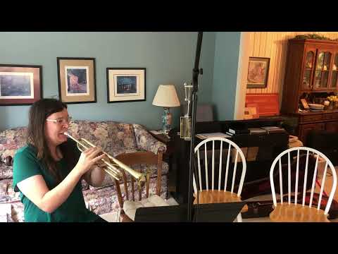 Let Him Run Wild - The Beach Boys - Full Instrumental Recreation