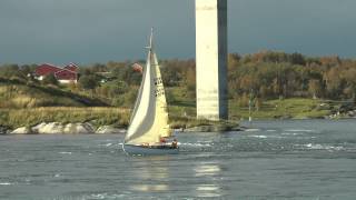 preview picture of video 'Lærche i saltstraumen'