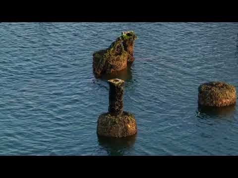 West Pier Revealed | Remarkable results from new West Pier exploration