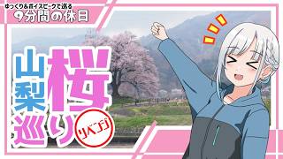 【ゆっくり＆ボイピ車載】山梨桜巡りリベンジ2026 前編＜9分間の休日＞