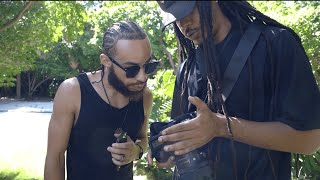The Fox Magazine - Video - 2