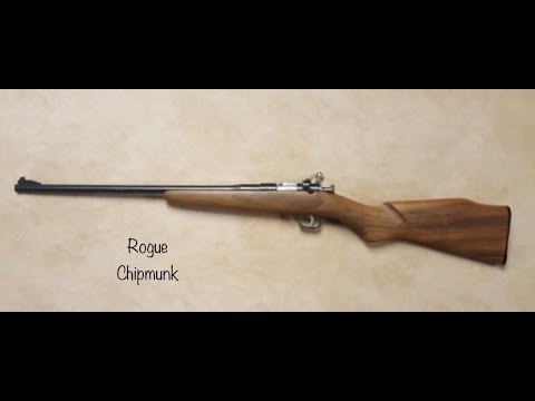 Good Shooting Little Pistol