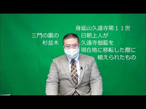 日朝上人お手植えの杉
