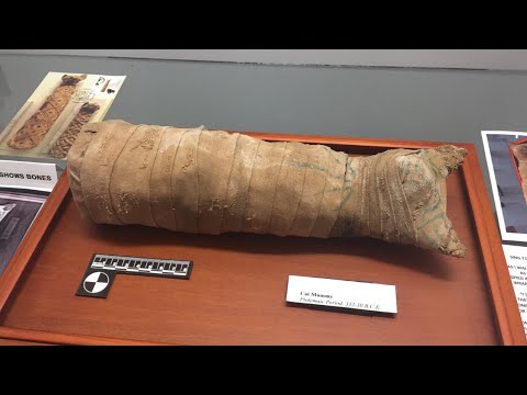 Harold's Mummy - Carpetblog 7/26/17