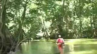 preview picture of video 'St. Lucia Marigot Bay/Roseau River Kayaking'