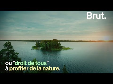 Youtube video image