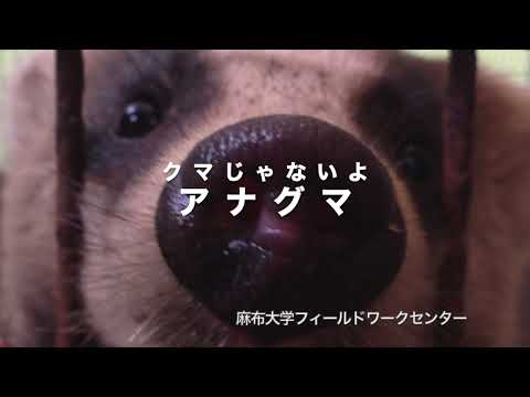 麻布大フィールドワークセンター紹介動画
