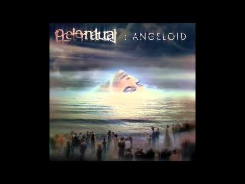 Preternatural - Land Of Confusion (Genesis cover)