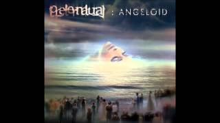 Preternatural - Land Of Confusion (Genesis cover)