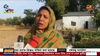 নবীগঞ্জে ভাসমান বেডে সবজি আবাদ