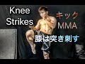 膝蹴りは突き刺す！[Knee Strikes]