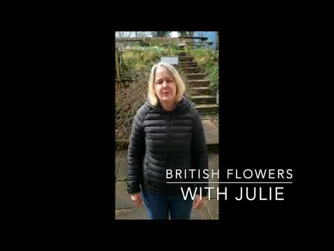 British Flowers