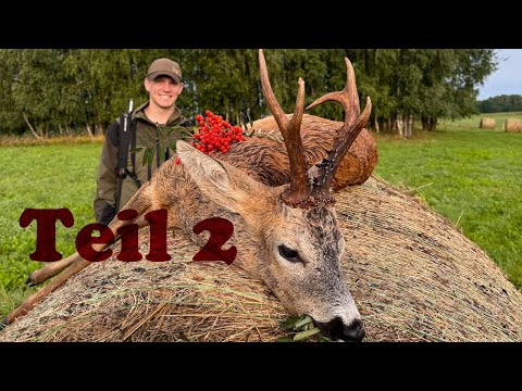 the rutting season competition part 2! Who attracts more bucks? Hunter Brothers