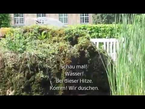 A1-B1 Leseverstehen Hitze Spatzen duschen sich