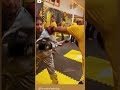 Boxing Padding Combination Boxing Padding With Vijaylion Khushisainilioness Fighter Boxing